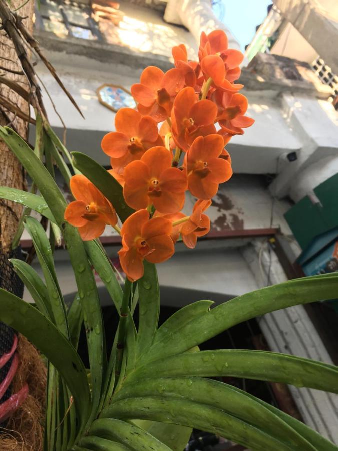מלון בנגקוק Cafe De Baan Raow מראה חיצוני תמונה